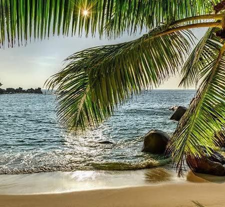 Baga Beach Palms Esterno foto