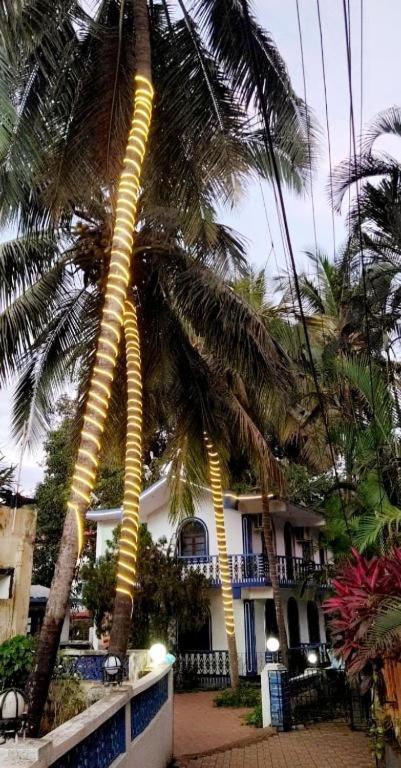 Baga Beach Palms Esterno foto